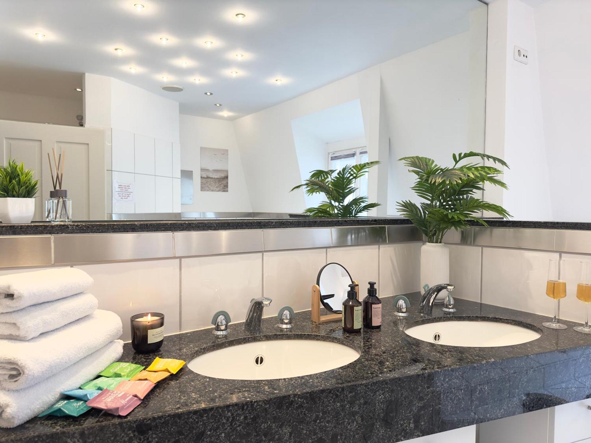 Luxury Old Town Suite - Xxl Terrasse & Xxl Penthouse Heidelberg Luaran gambar