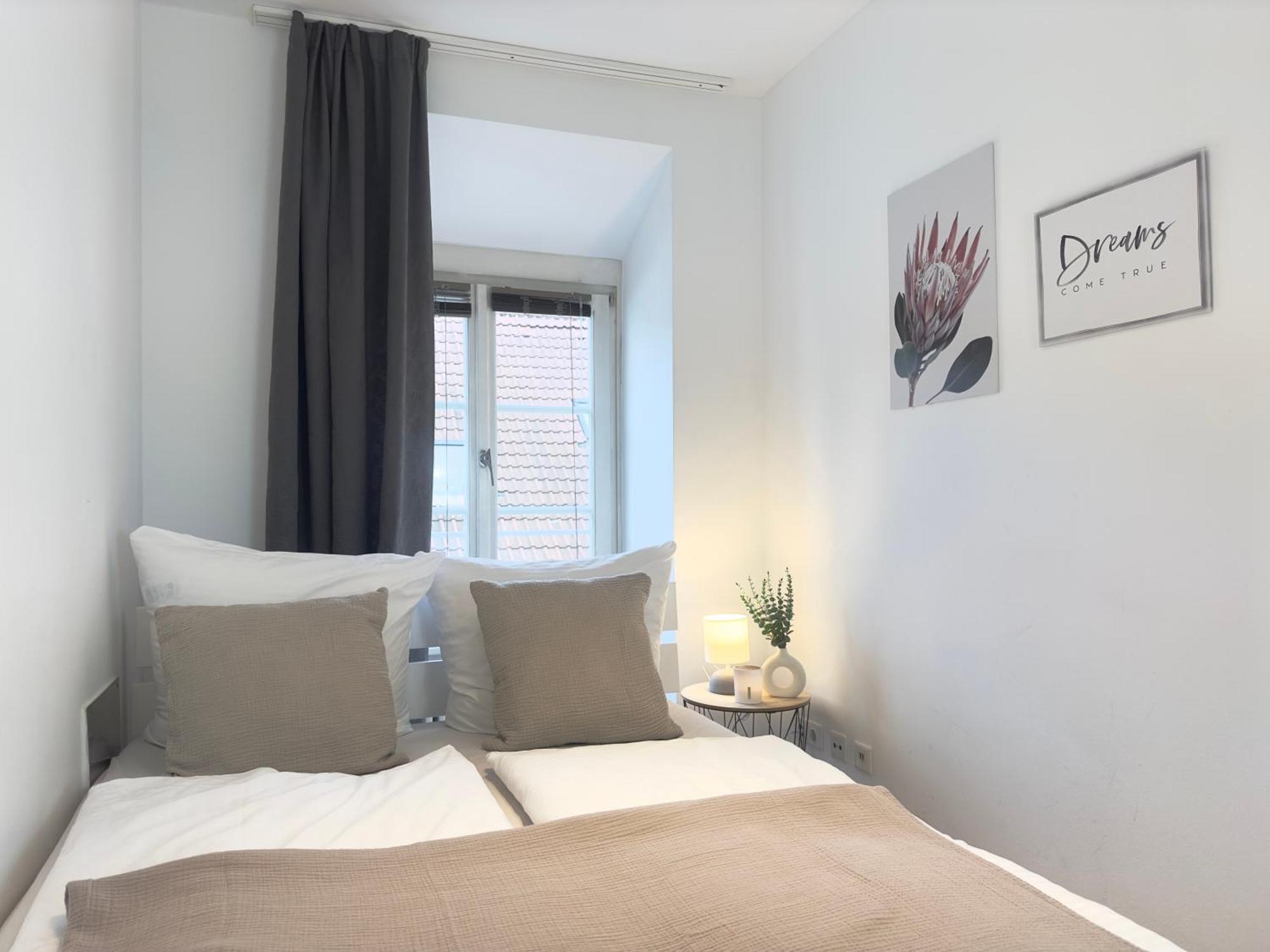 Luxury Old Town Suite - Xxl Terrasse & Xxl Penthouse Heidelberg Luaran gambar